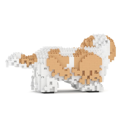 Chien Shih Tzu taches beiges