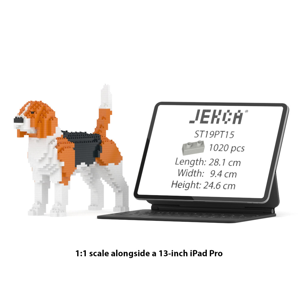 Chien Beagle 1er génération