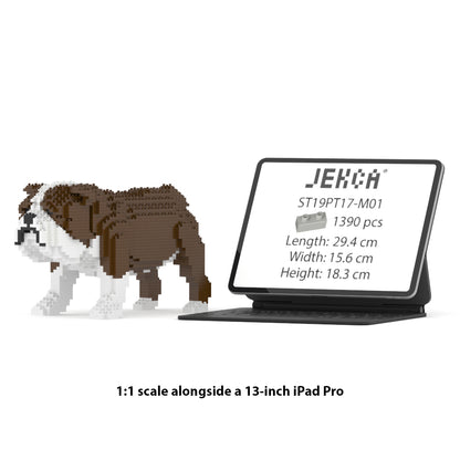 Chien Bulldog Anglais marron