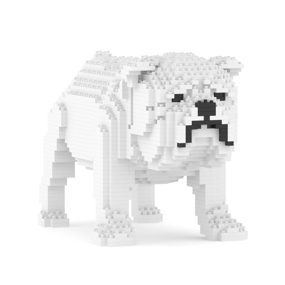 Chien Bulldog Anglais blanc