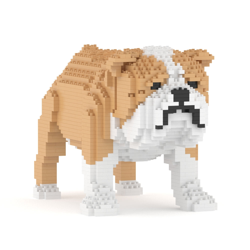 Chien Bulldog Anglais beige
