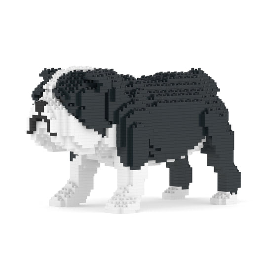 Chien Bulldog Anglais noir