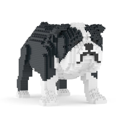 Chien Bulldog Anglais noir