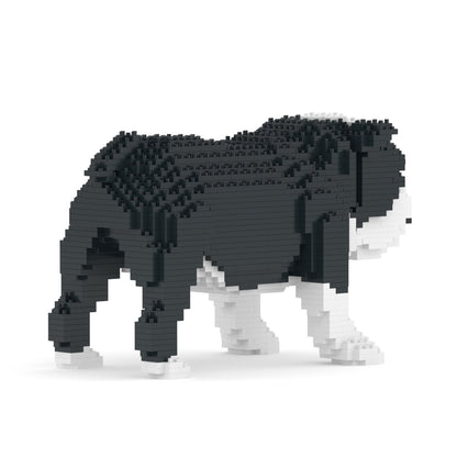 Chien Bulldog Anglais noir
