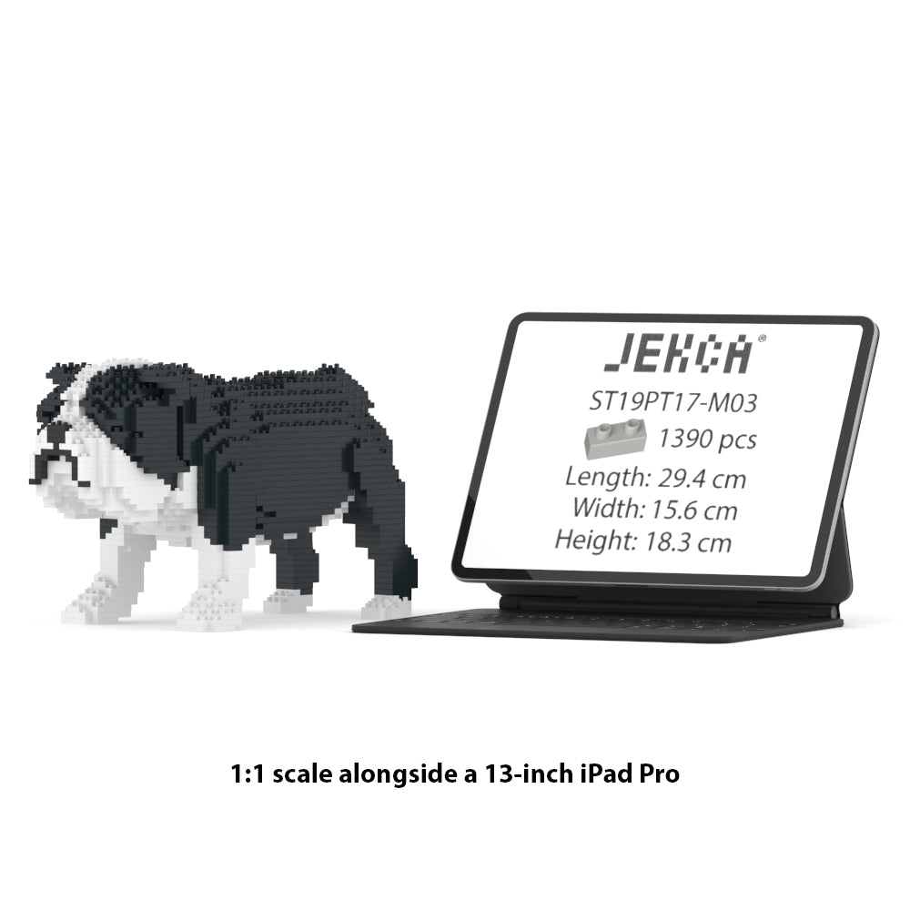 Chien Bulldog Anglais noir