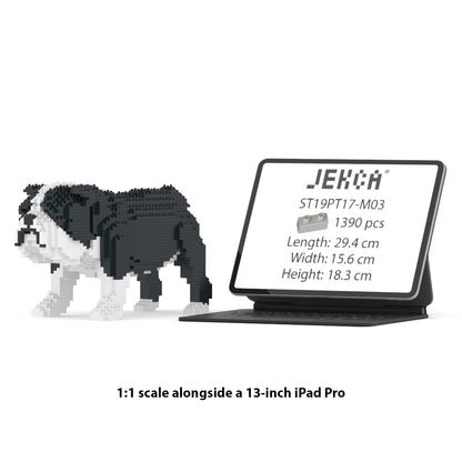 Chien Bulldog Anglais noir