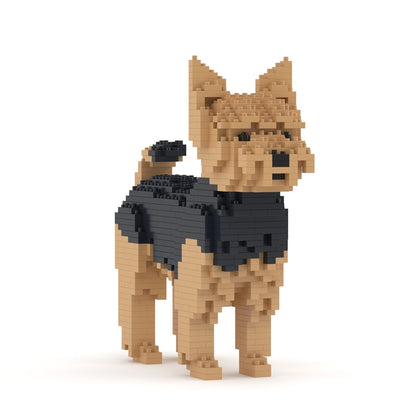 Chien Yorkshire Terrier