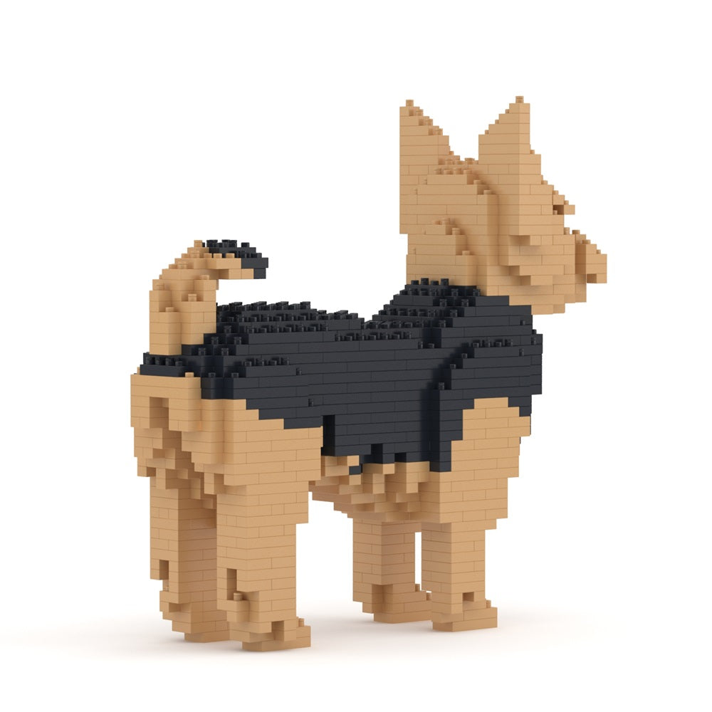 Chien Yorkshire Terrier