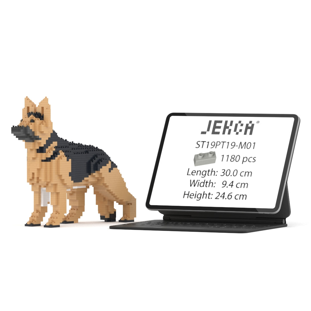 Chien Berger Allemand noir et feu