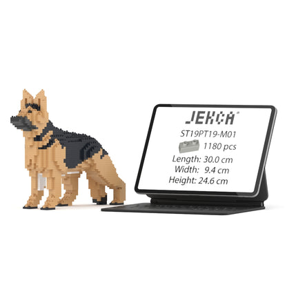 Chien Berger Allemand noir et feu