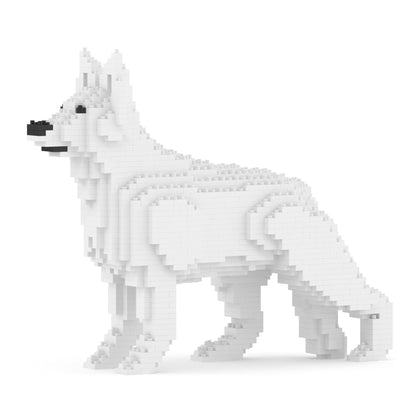 Chien Berger Allemand blanc