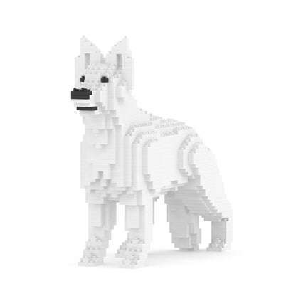 Chien Berger Allemand blanc