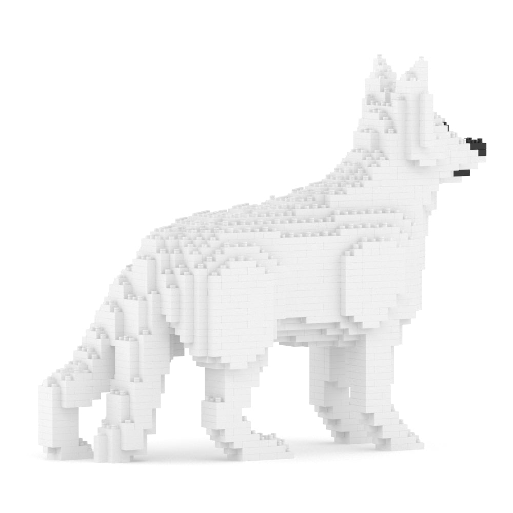 Chien Berger Allemand blanc