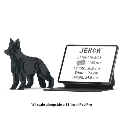 Chien Berger Allemand noir