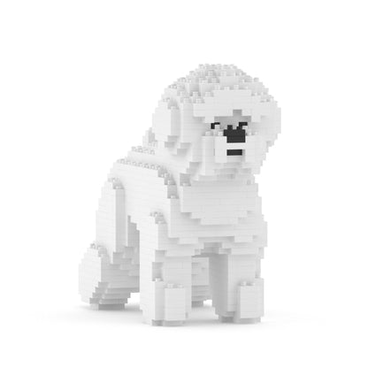 Chien Bichon à poil frisé 1er génération