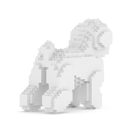 Chien Bichon à poil frisé 1er génération