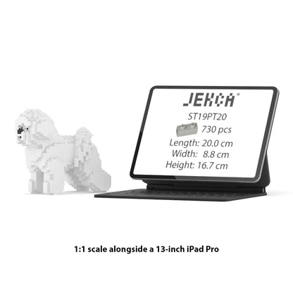 Chien Bichon à poil frisé 1er génération