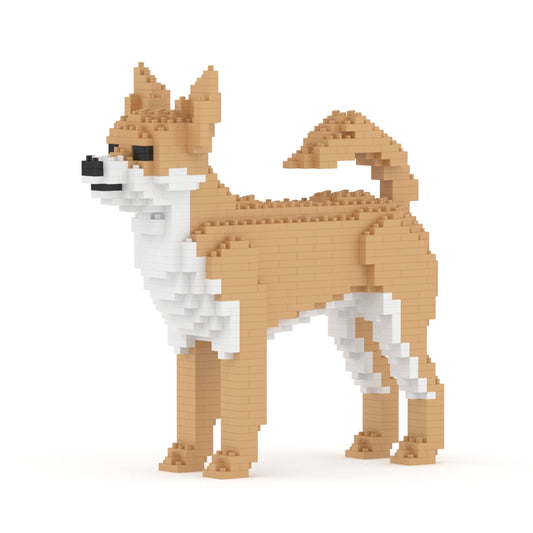 Chien Chihuahua beige