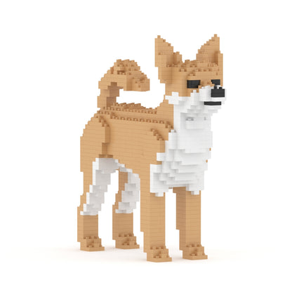 Chien Chihuahua beige