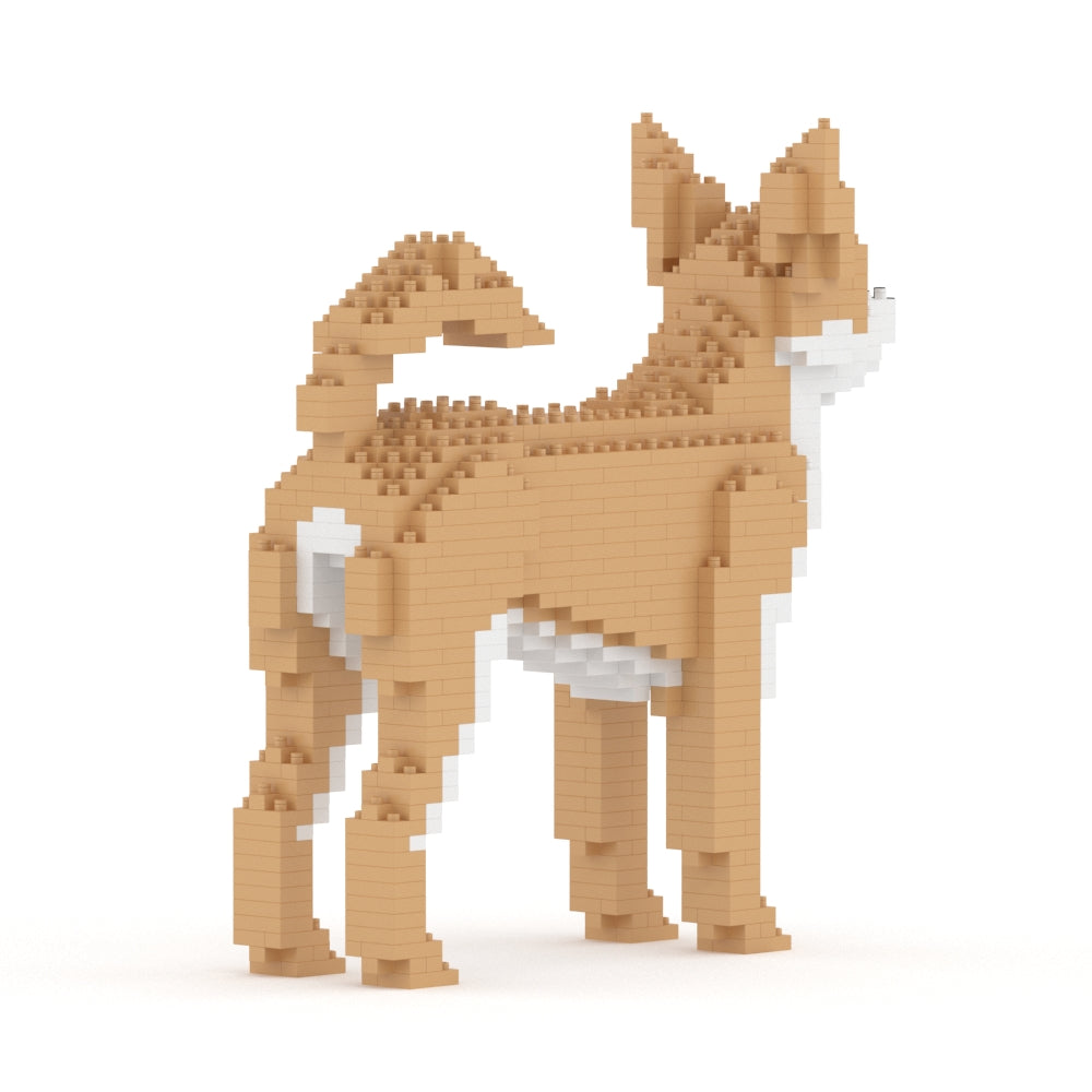 Chien Chihuahua beige