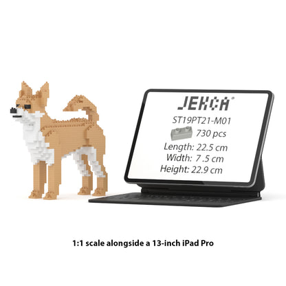 Chien Chihuahua beige