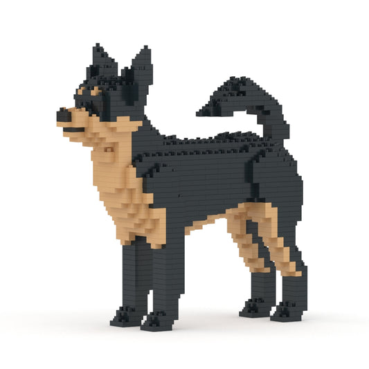 Chien Chihuahua noir