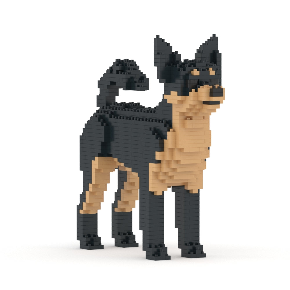 Chien Chihuahua noir