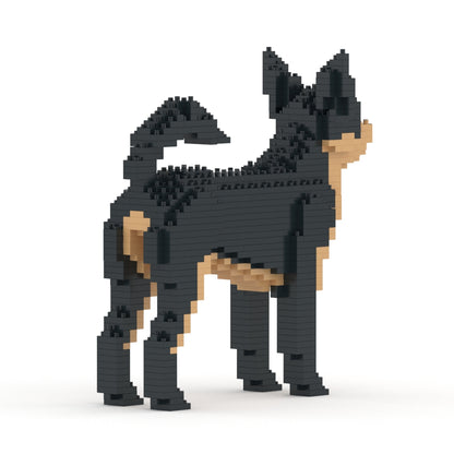 Chien Chihuahua noir
