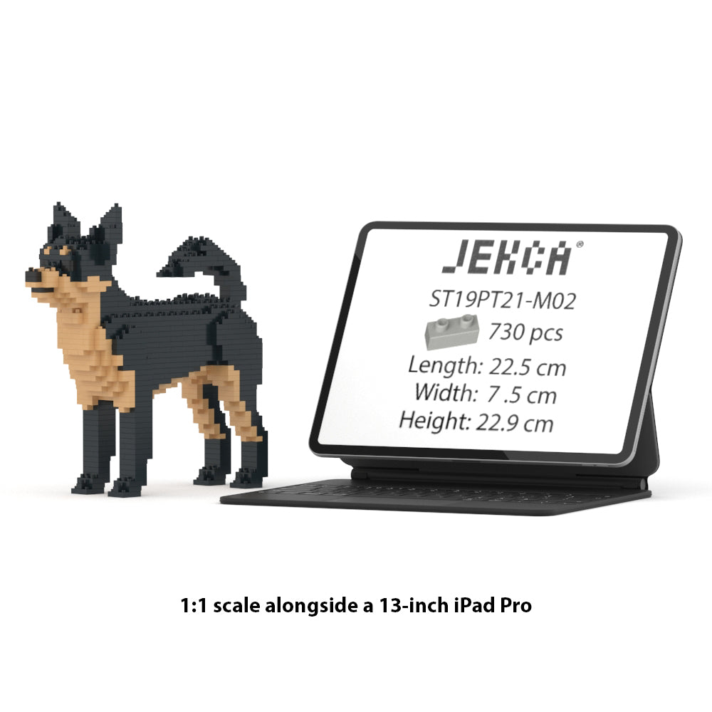 Chien Chihuahua noir