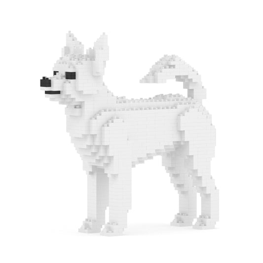 Chien Chihuahua blanc