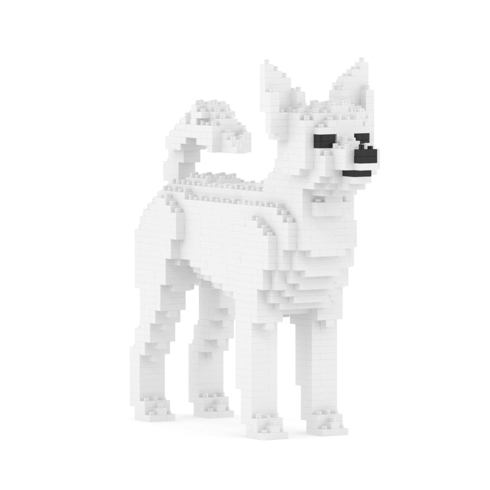 Chien Chihuahua blanc