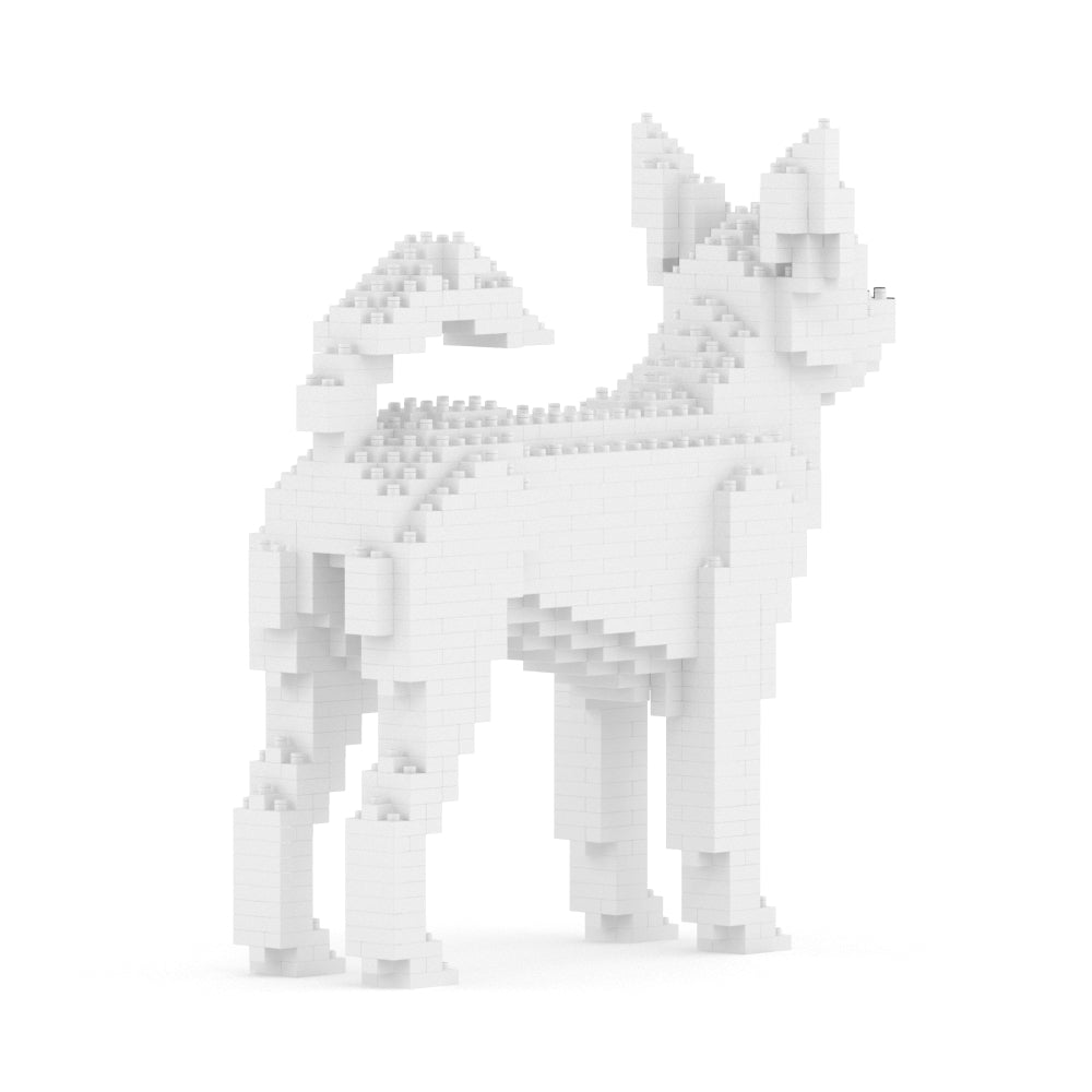 Chien Chihuahua blanc