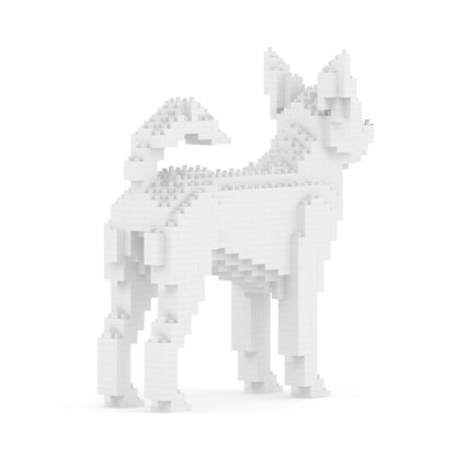 Chien Chihuahua blanc