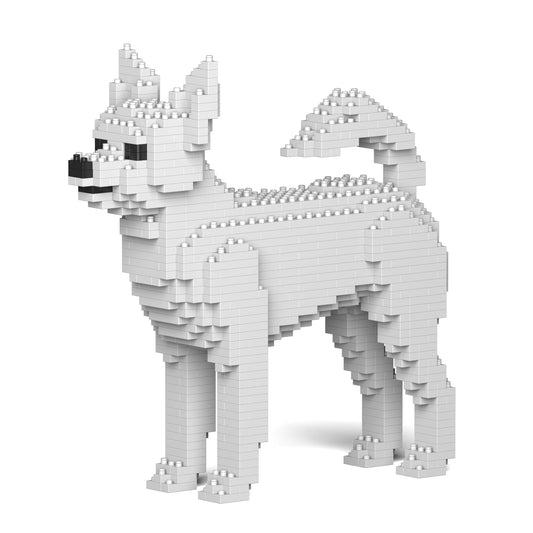 Chien Chihuahua blanc