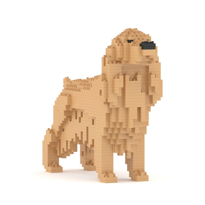 Chien Cocker Anglais beige