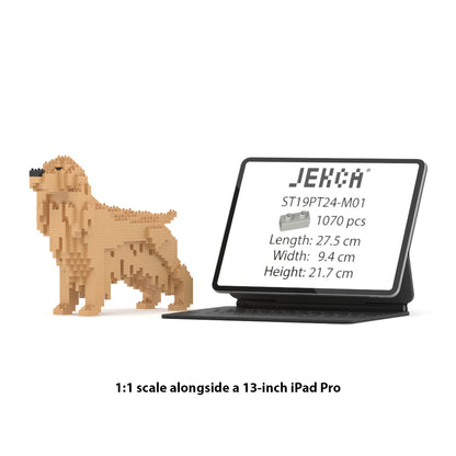 Chien Cocker Anglais beige