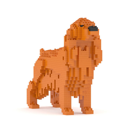 Chien Cocker Anglais roux