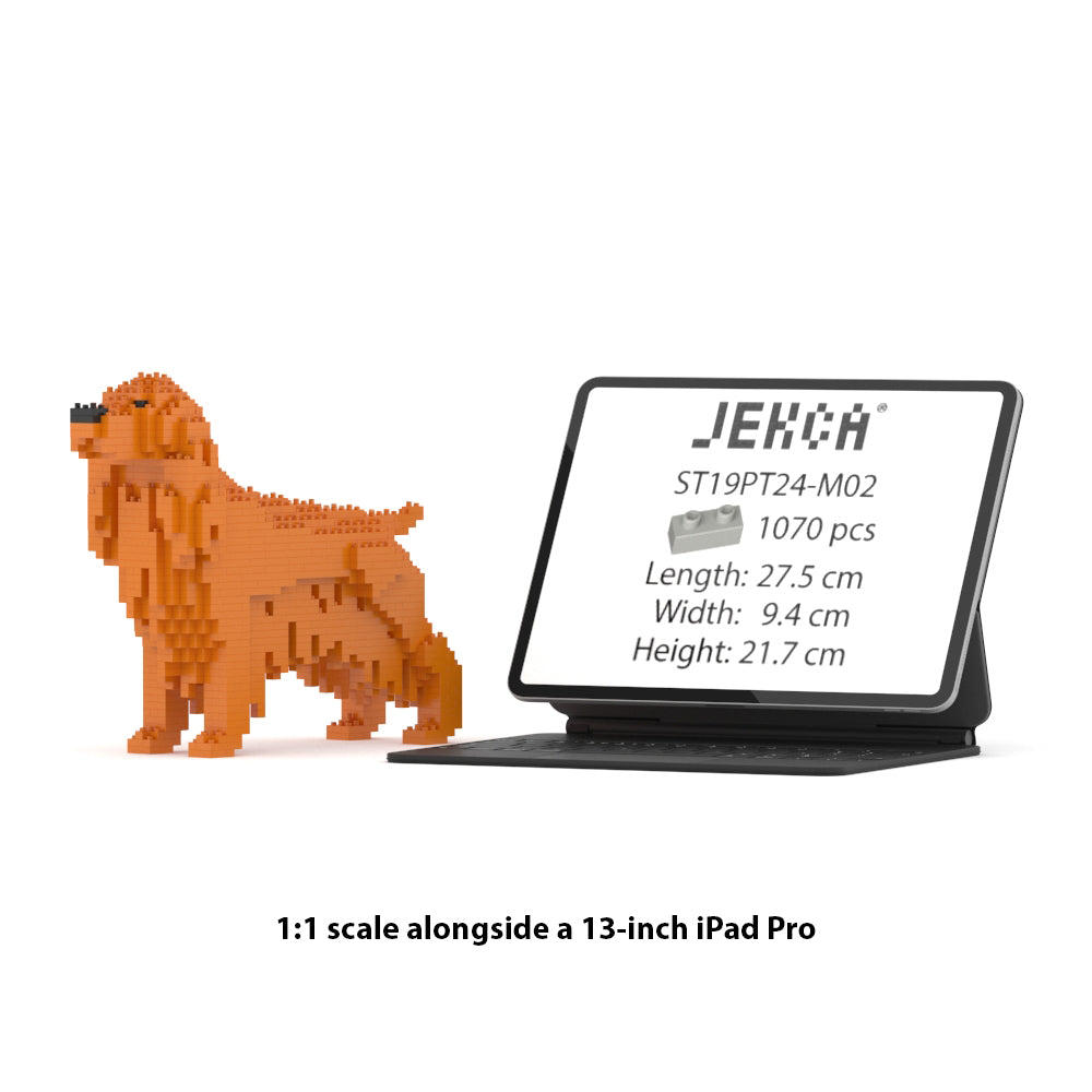 Chien Cocker Anglais roux