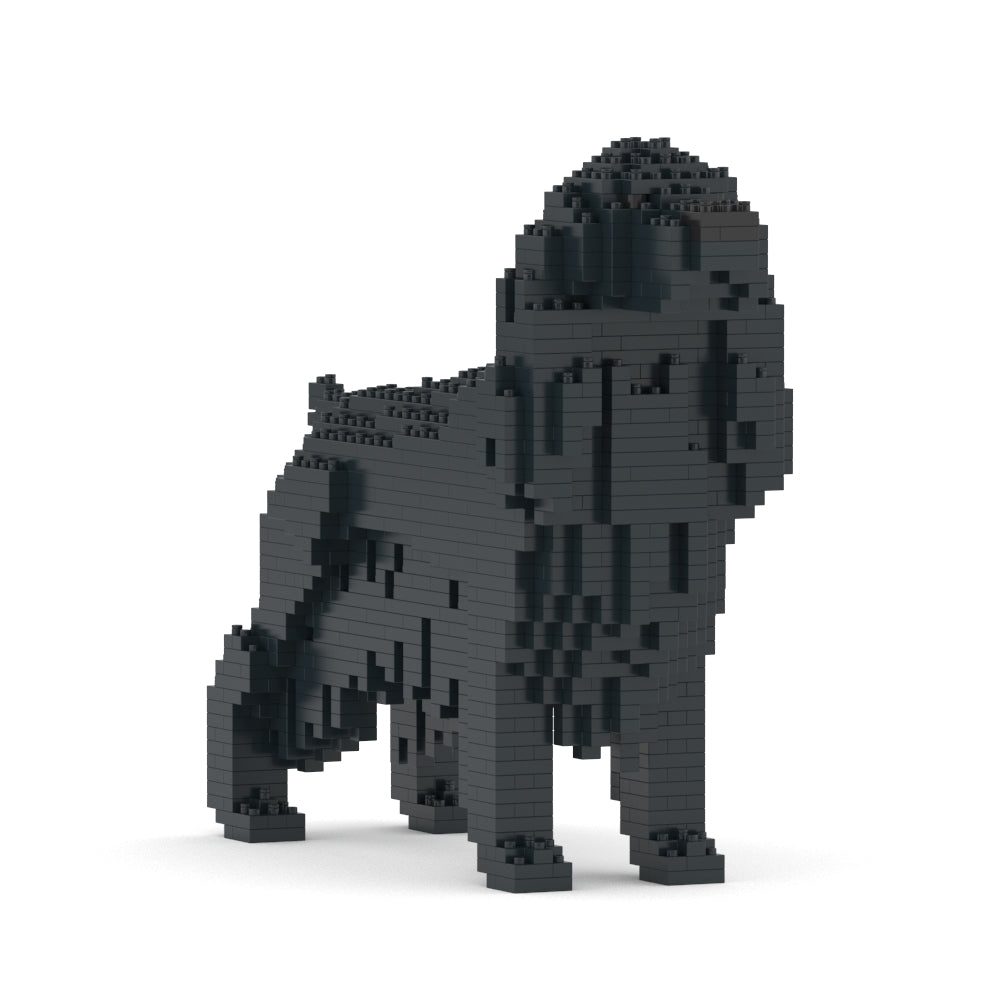 Chien Cocker Anglais noir