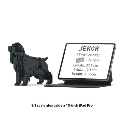 Chien Cocker Anglais noir