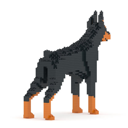 Chien Dobermann noir et feu