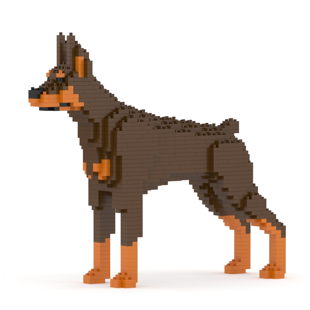 Chien Dobermann marron et feu
