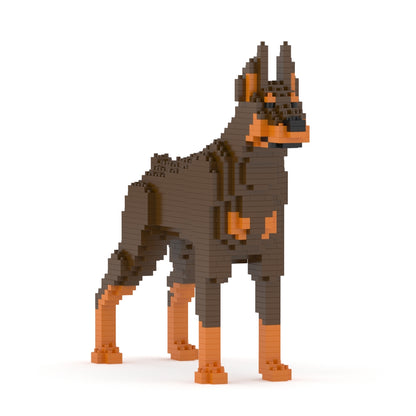 Chien Dobermann marron et feu