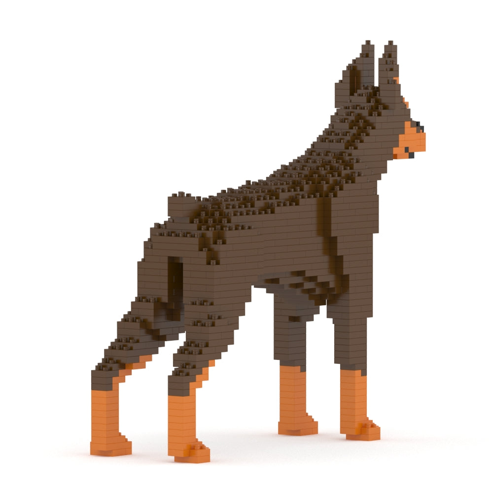 Chien Dobermann marron et feu