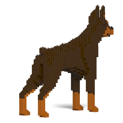 Chien Dobermann marron et feu