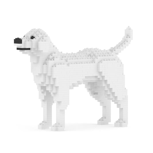 Chien Labrador Retriever blanc
