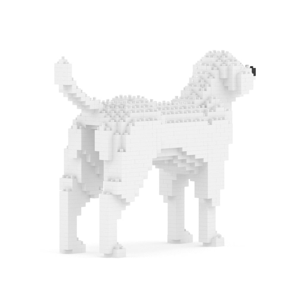 Chien Labrador Retriever blanc