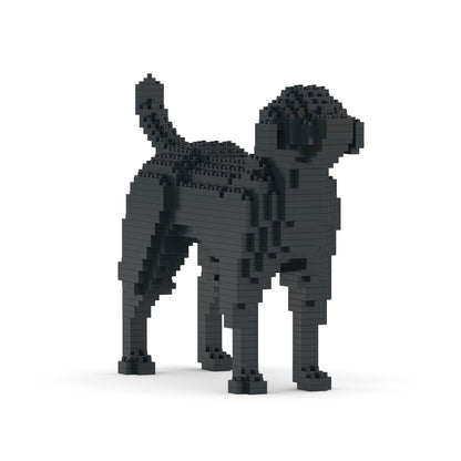 Chien Labrador Retriever noir