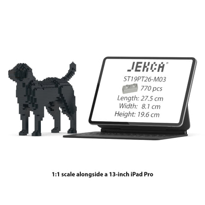 Chien Labrador Retriever noir