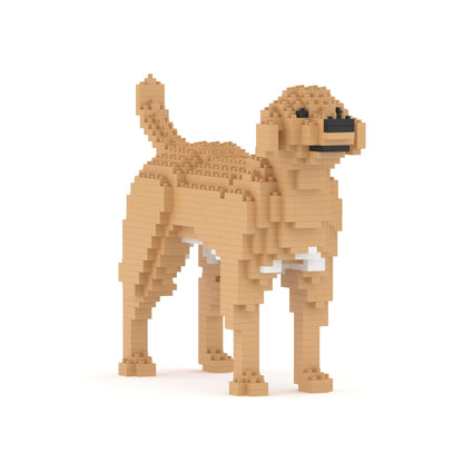 Chien Labrador Retriever beige